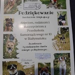 wigilia dla czworonoga