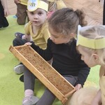dzieci oglądają plaster miodu.jpg