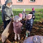 dzieci wrzucają liście do worka obok stoi pani.jpg