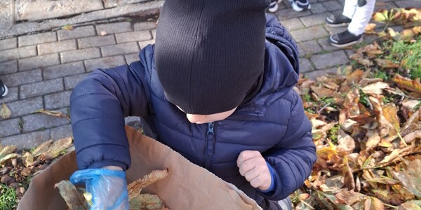 chłopiec wrzuca liście do papierowego worka.jpg