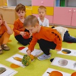chłopiec kładzie dynię na dywanie.jpg