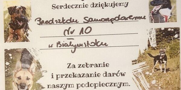 Bez nazwy.jpg