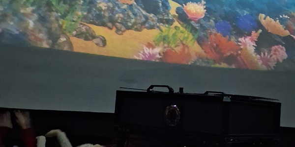 dzieci leżą na podłodze i oglądają film z oceanu.jpg