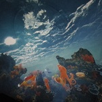 obraz głebi oceanu.jpg