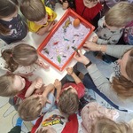 dzieci patrzą na pojemnik z kolorowym piaskiem w którym leżą dinozaury.jpg