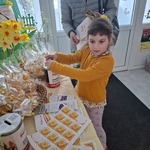 dziewczynka wrzuca pieniądze do puszki obok stoją żółte żonkile.jpg