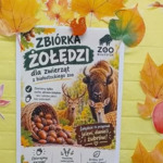 stojak z ogłoszeniem o zbiórce żołędzi.jpg