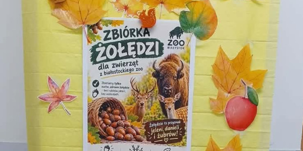 stojak z ogłoszeniem o zbiórce żołędzi.jpg